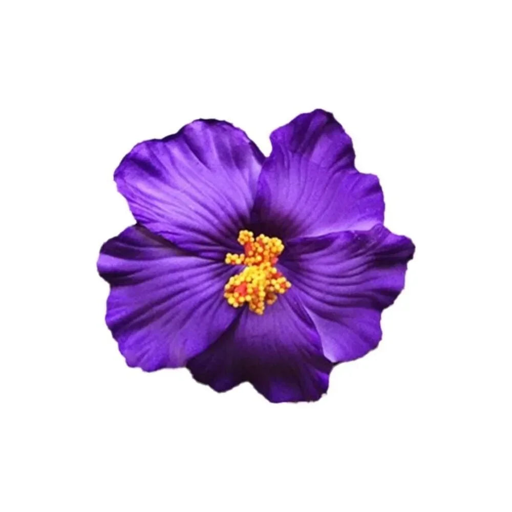Kopfbedeckung, hawaiianische Blumen-Haarspangen, romantische Haar-Accessoires, BB-Haarspange, geeignet für Urlaub, Strandpartys, seitlicher Pony-Clip für Damen