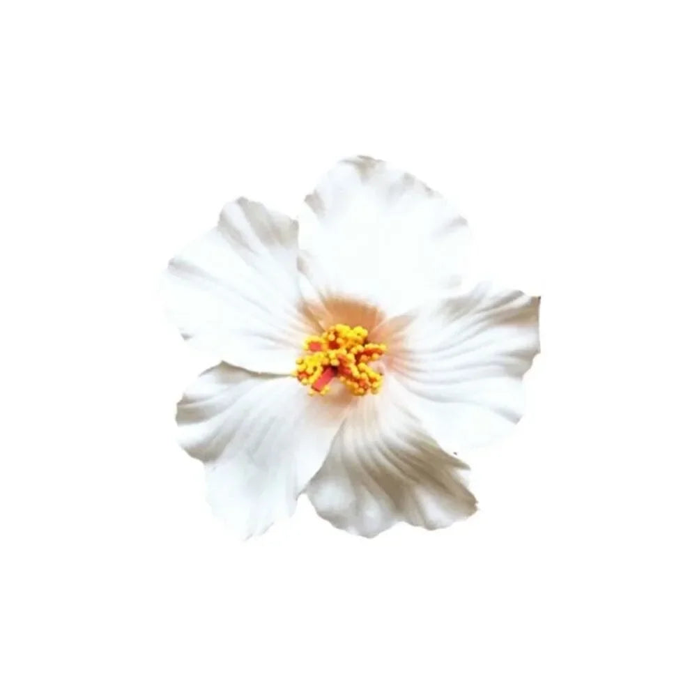 Kopfbedeckung, hawaiianische Blumen-Haarspangen, romantische Haar-Accessoires, BB-Haarspange, geeignet für Urlaub, Strandpartys, seitlicher Pony-Clip für Damen
