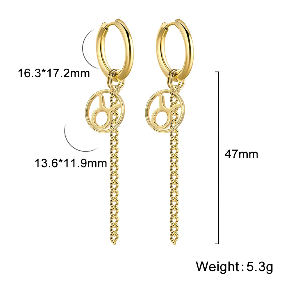Amaxer Sternbild-Pin-Ohrringe, 12-Sternzeichen-Edelstahl, eleganter Quasten-Tropfenohrring, Widder, Stier, Jungfrau, Fische, für Frauen, Geschenk