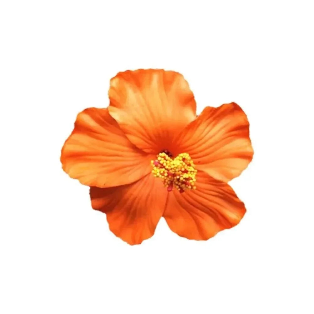 Kopfbedeckung, hawaiianische Blumen-Haarspangen, romantische Haar-Accessoires, BB-Haarspange, geeignet für Urlaub, Strandpartys, seitlicher Pony-Clip für Damen
