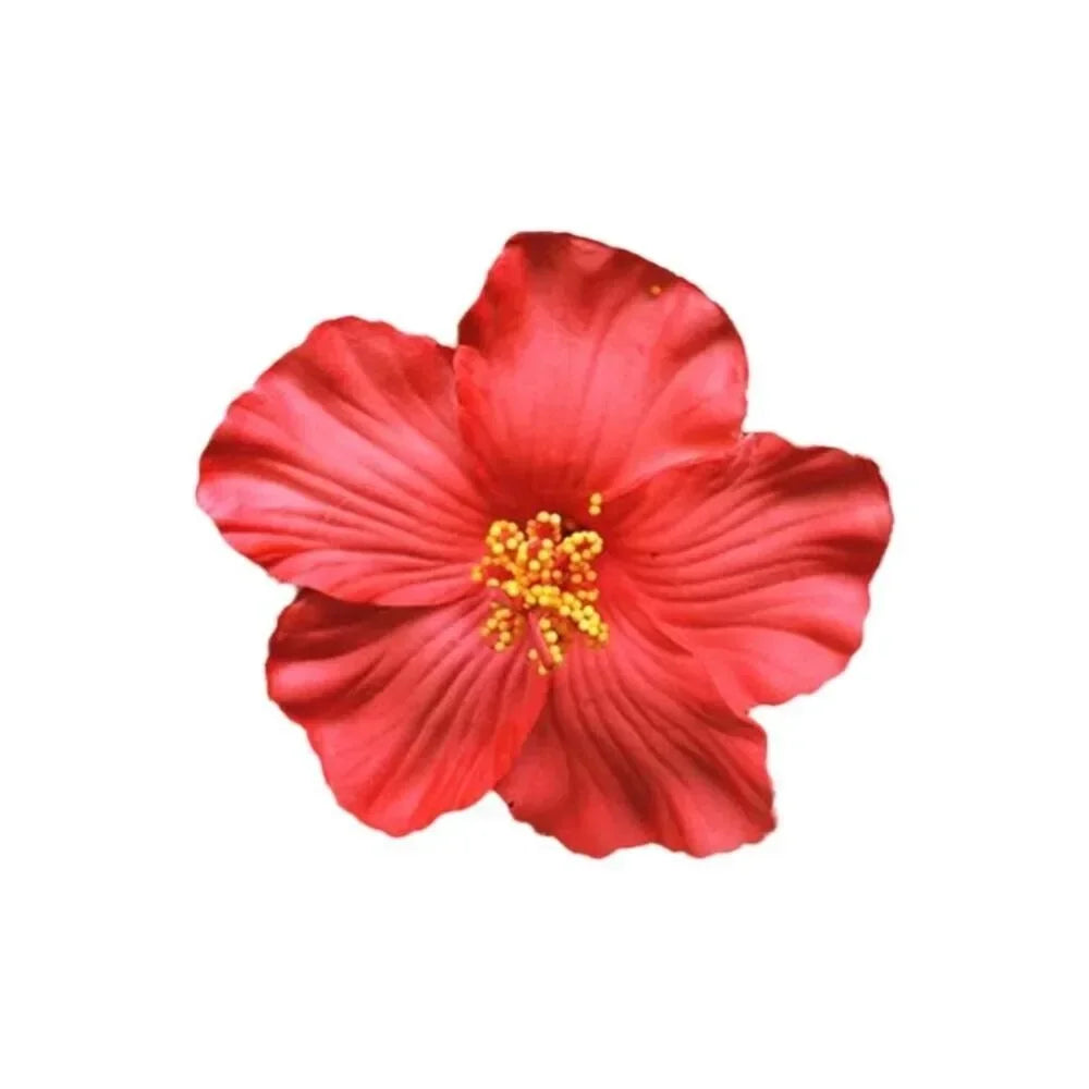 Kopfbedeckung, hawaiianische Blumen-Haarspangen, romantische Haar-Accessoires, BB-Haarspange, geeignet für Urlaub, Strandpartys, seitlicher Pony-Clip für Damen