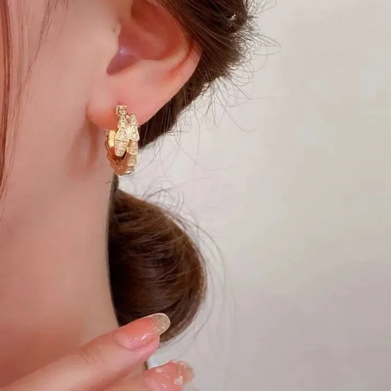 Luxuriöse, modische, super funkelnde Creolen in Schlangenform für Damen, High-End-Design, Sinnlichkeit, Nische, trendige Web-Ohrringe