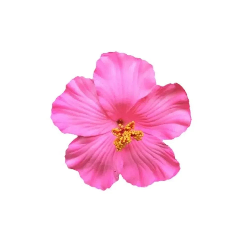 Kopfbedeckung, hawaiianische Blumen-Haarspangen, romantische Haar-Accessoires, BB-Haarspange, geeignet für Urlaub, Strandpartys, seitlicher Pony-Clip für Damen