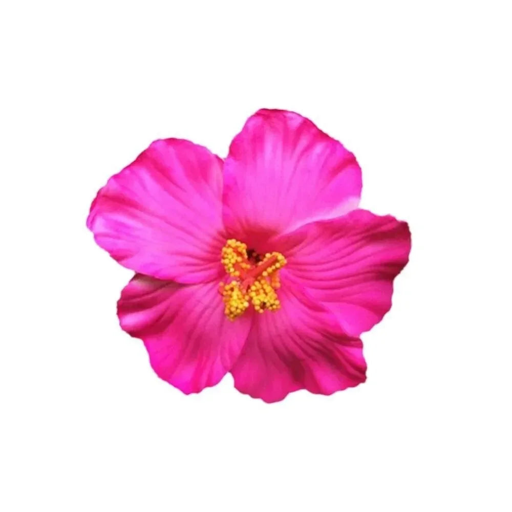 Kopfbedeckung, hawaiianische Blumen-Haarspangen, romantische Haar-Accessoires, BB-Haarspange, geeignet für Urlaub, Strandpartys, seitlicher Pony-Clip für Damen